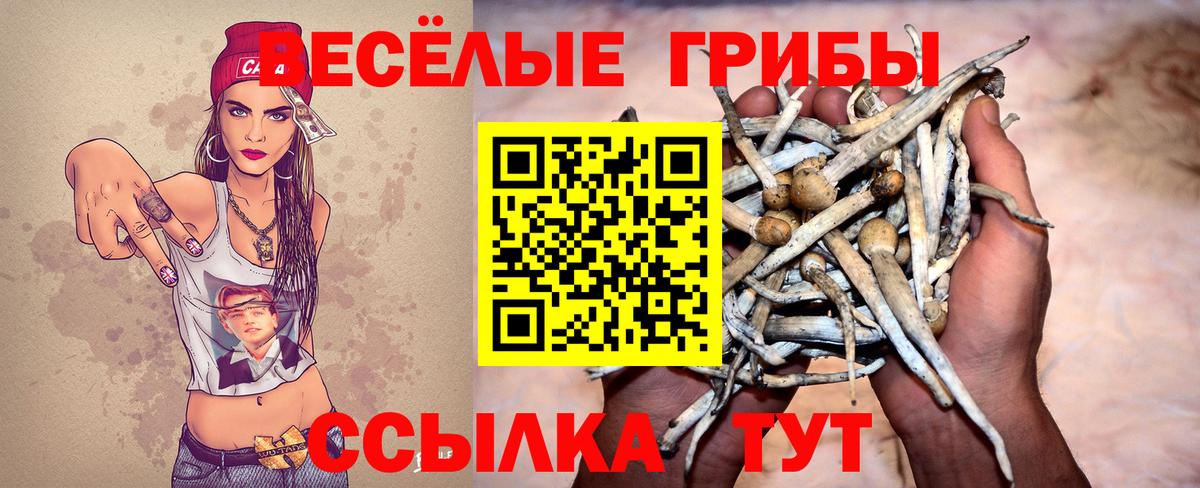 Серов  Галлюциногенные грибы прущие грибы  купить   Вход с VPN 